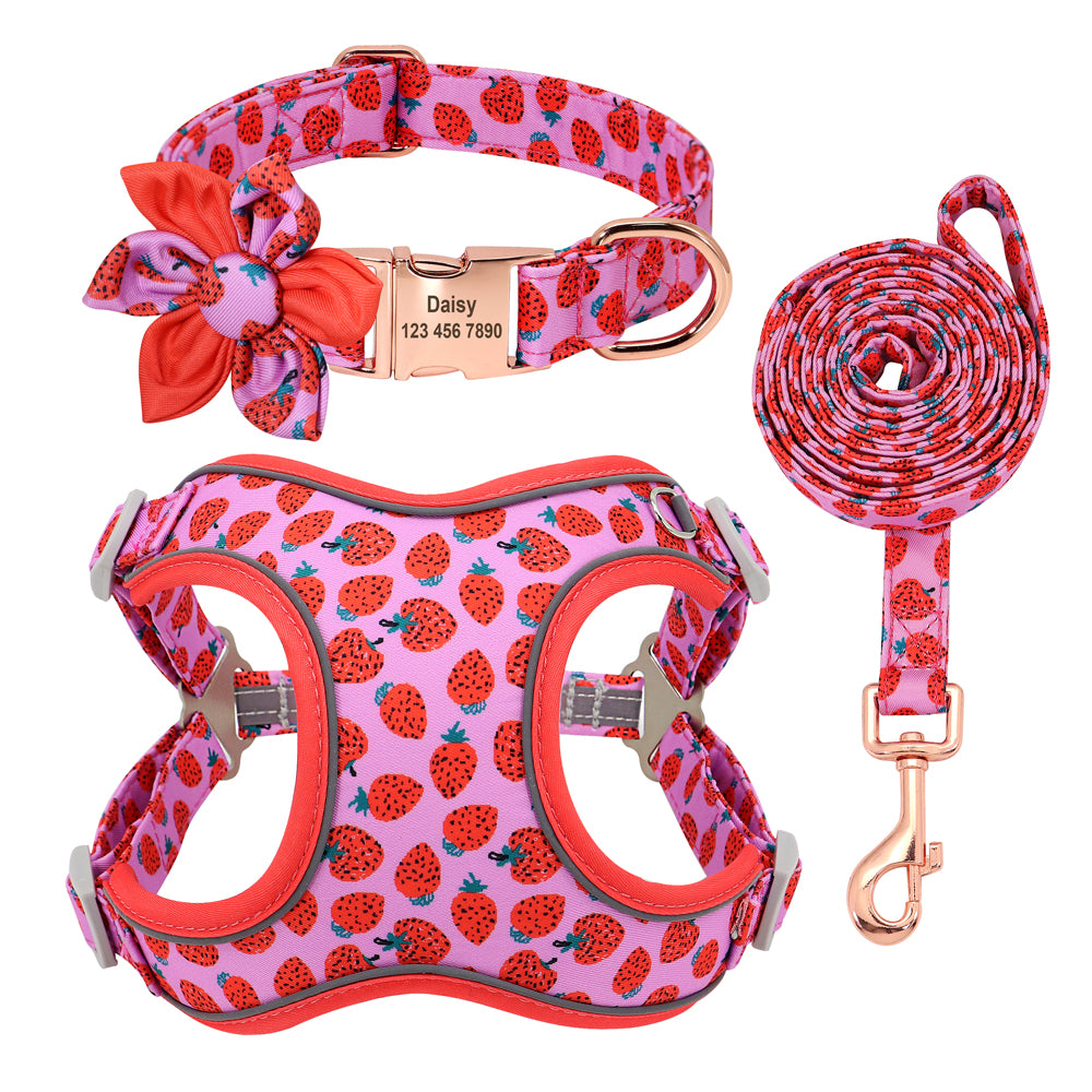 Spring And Summer Time Dog Harness Set