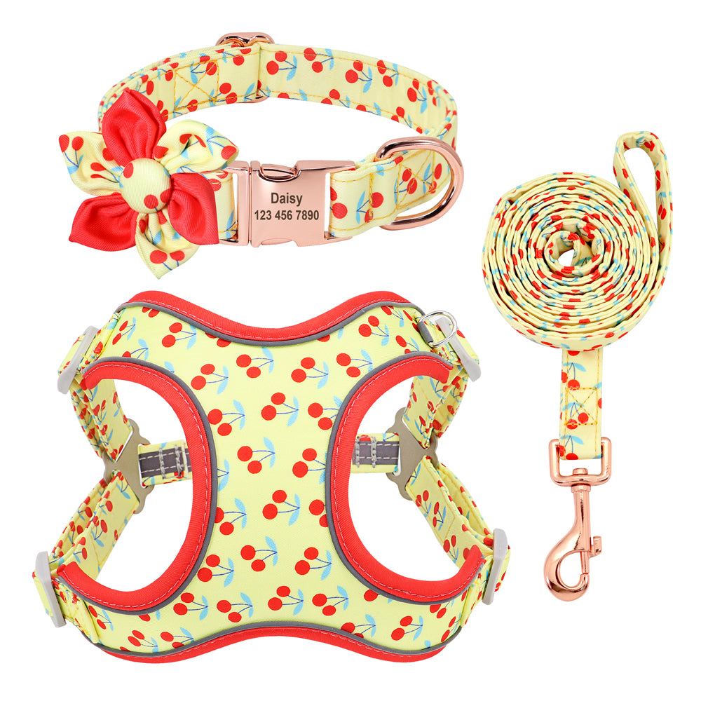 Spring And Summer Time Dog Harness Set