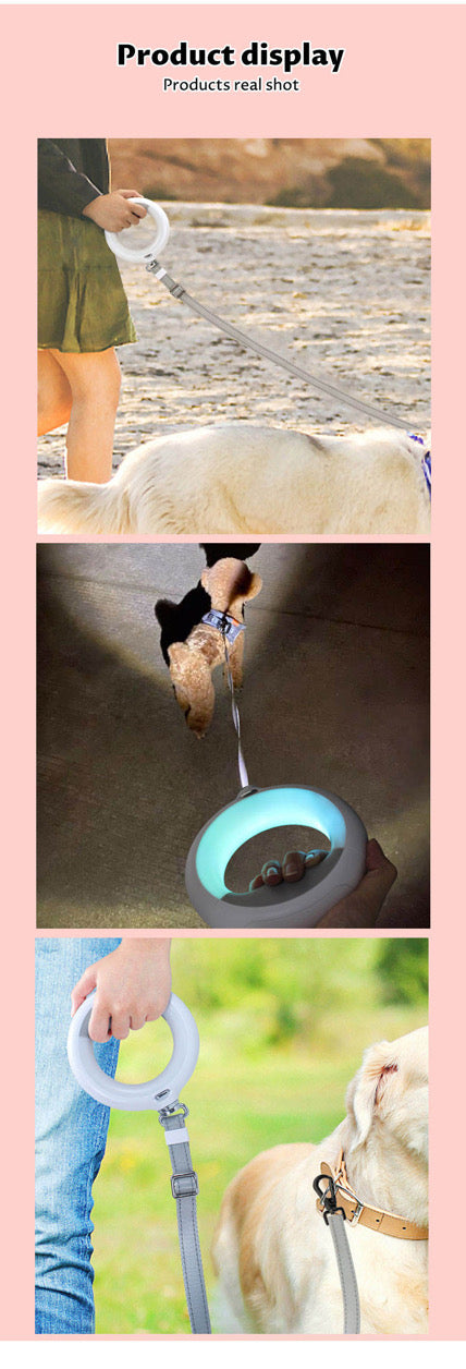 Multi-functional dog leash