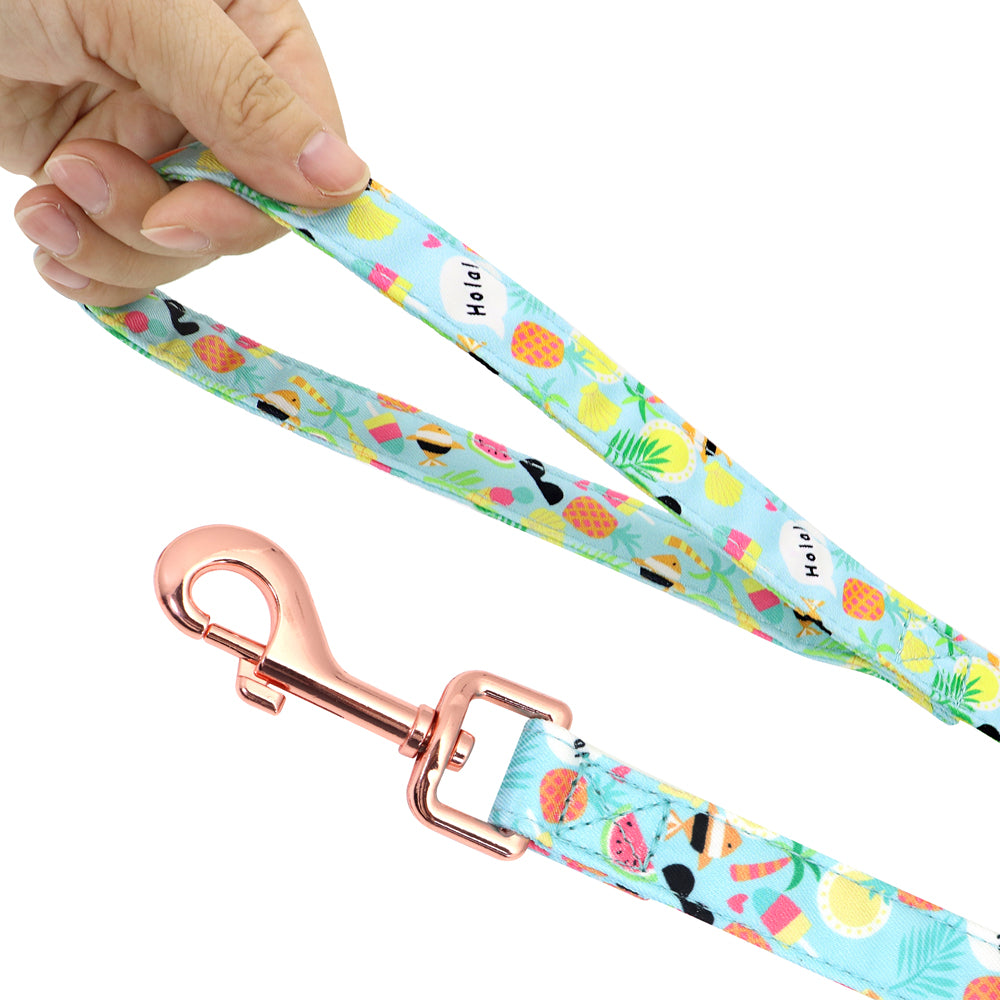 Spring And Summer Time Dog Harness Set