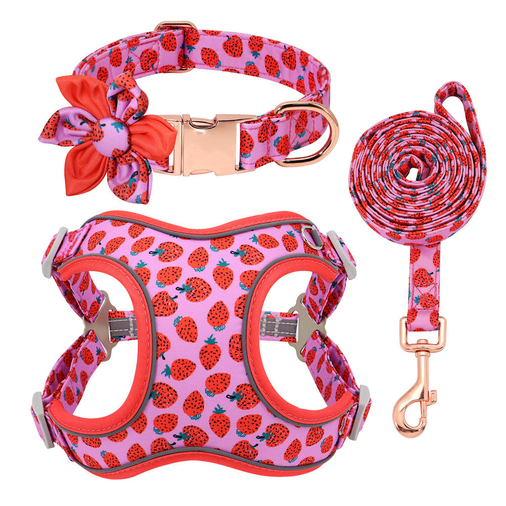 Spring And Summer Time Dog Harness Set