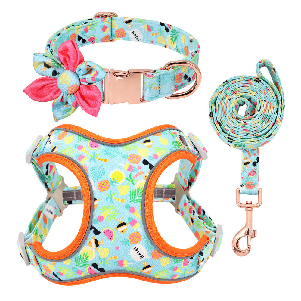 Spring And Summer Time Dog Harness Set
