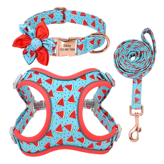 Spring And Summer Time Dog Harness Set