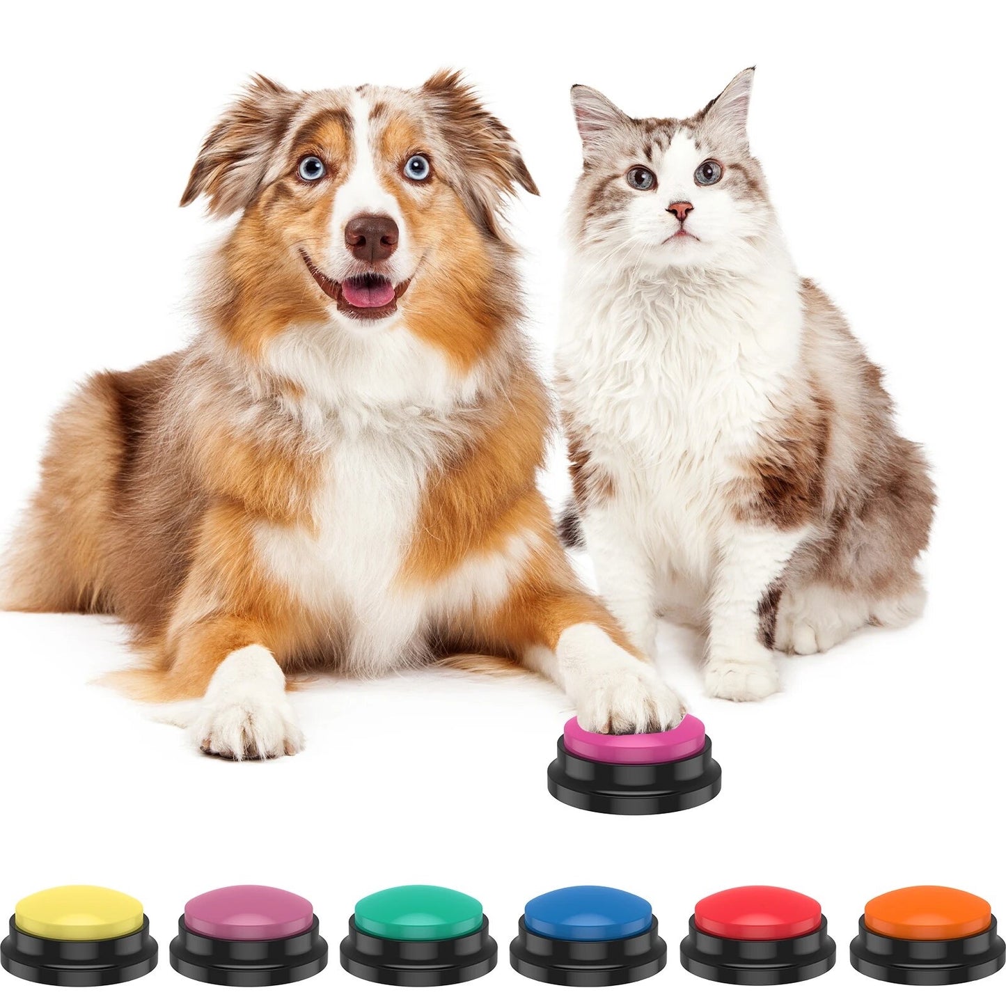 Dog speech button Recording buttons interactive pets communication buzzer
Audio