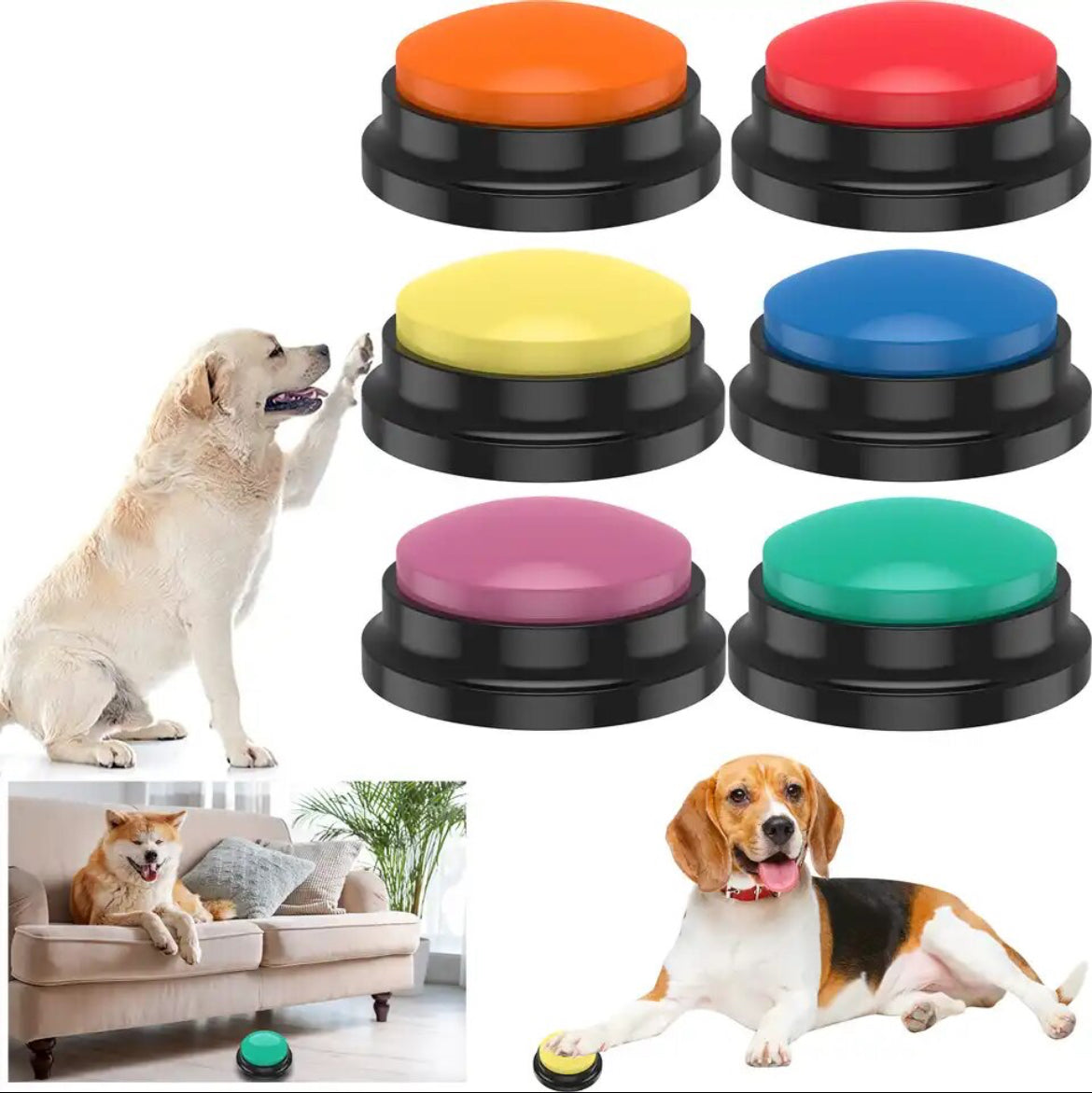 Dog speech button Recording buttons interactive pets communication buzzer
Audio