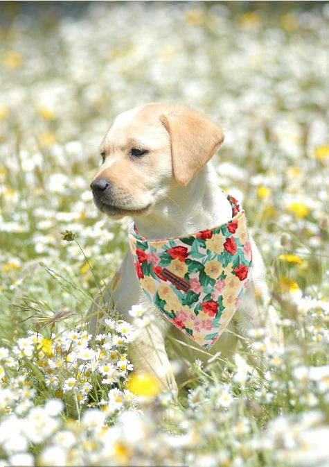 Floral Dog Bandana Flower Scarf Adjustable Cotton Dog Bandana