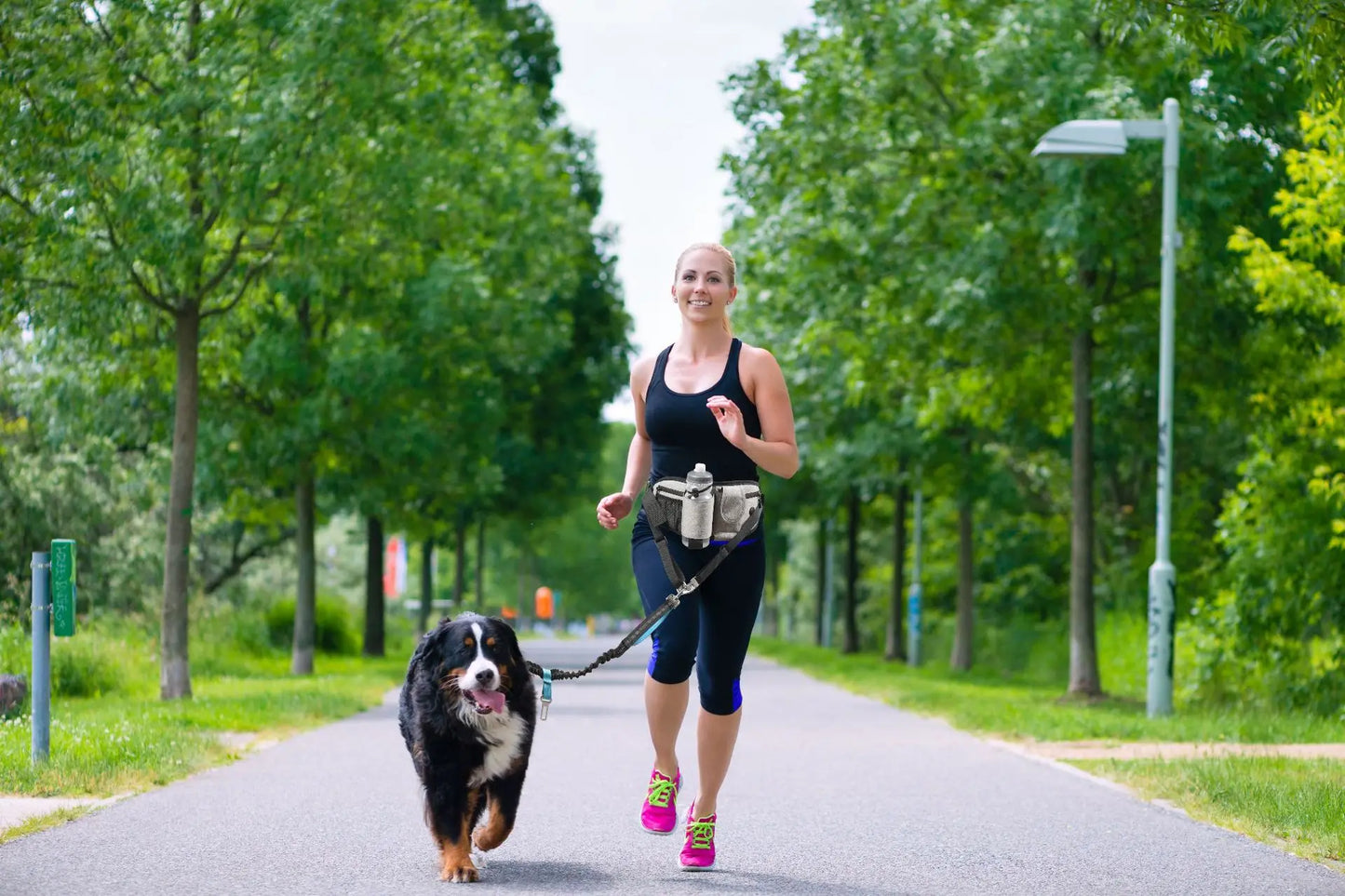 Manos libres para mascotas, cuerda de tracción para perros, correa para perros con bolsa de cintura, cinturón elástico retráctil para correr para perros, suministros multifuncionales para perros al aire libre