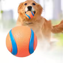 Solid Elastic Bouncy Dog Ball | Durable Rubber Fetch Toy for Dogs | 1, 2 & 3 Pack