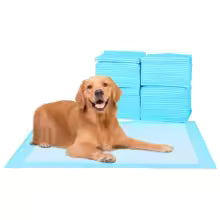 100/50/40/20PCS Absorbent Dogs Diapers Disposable Puppy Training Pee Pads Quick Dry Surface